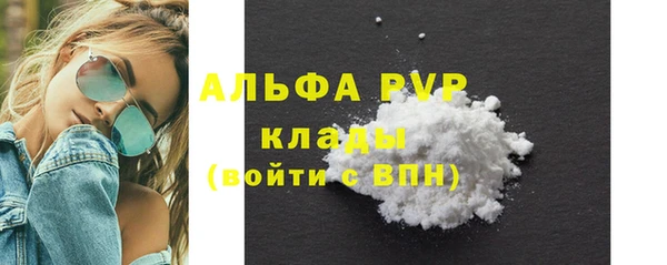 стаф Богданович