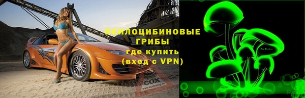 стаф Богданович