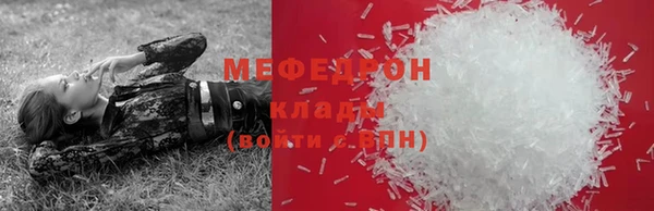 стаф Богданович