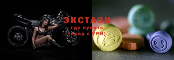 стаф Богданович