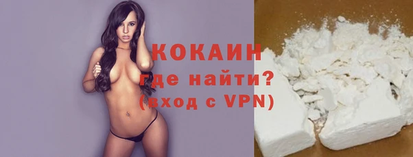 стаф Богданович