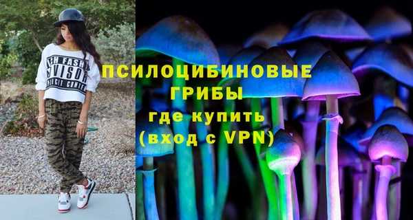 стаф Богданович