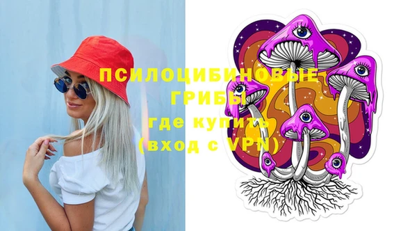 стаф Богданович