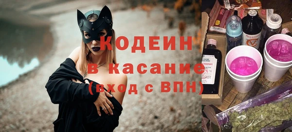 стаф Богданович