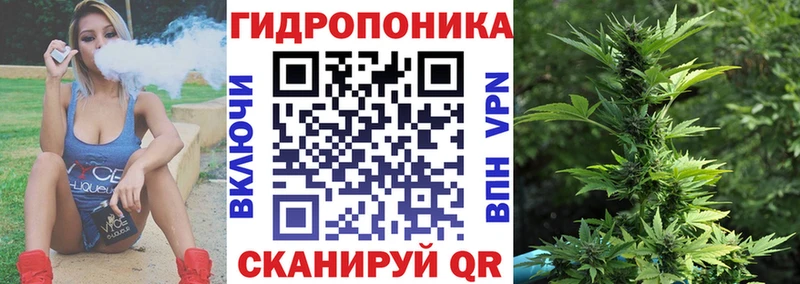 Канабис SATIVA & INDICA  mega как зайти  Старица 